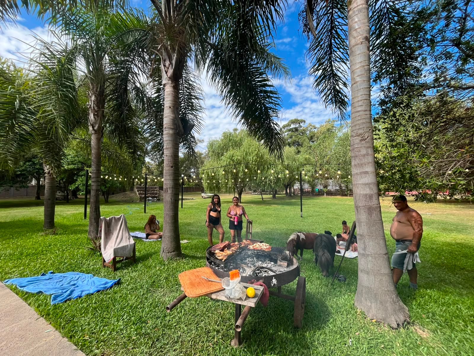 Días de Campo
