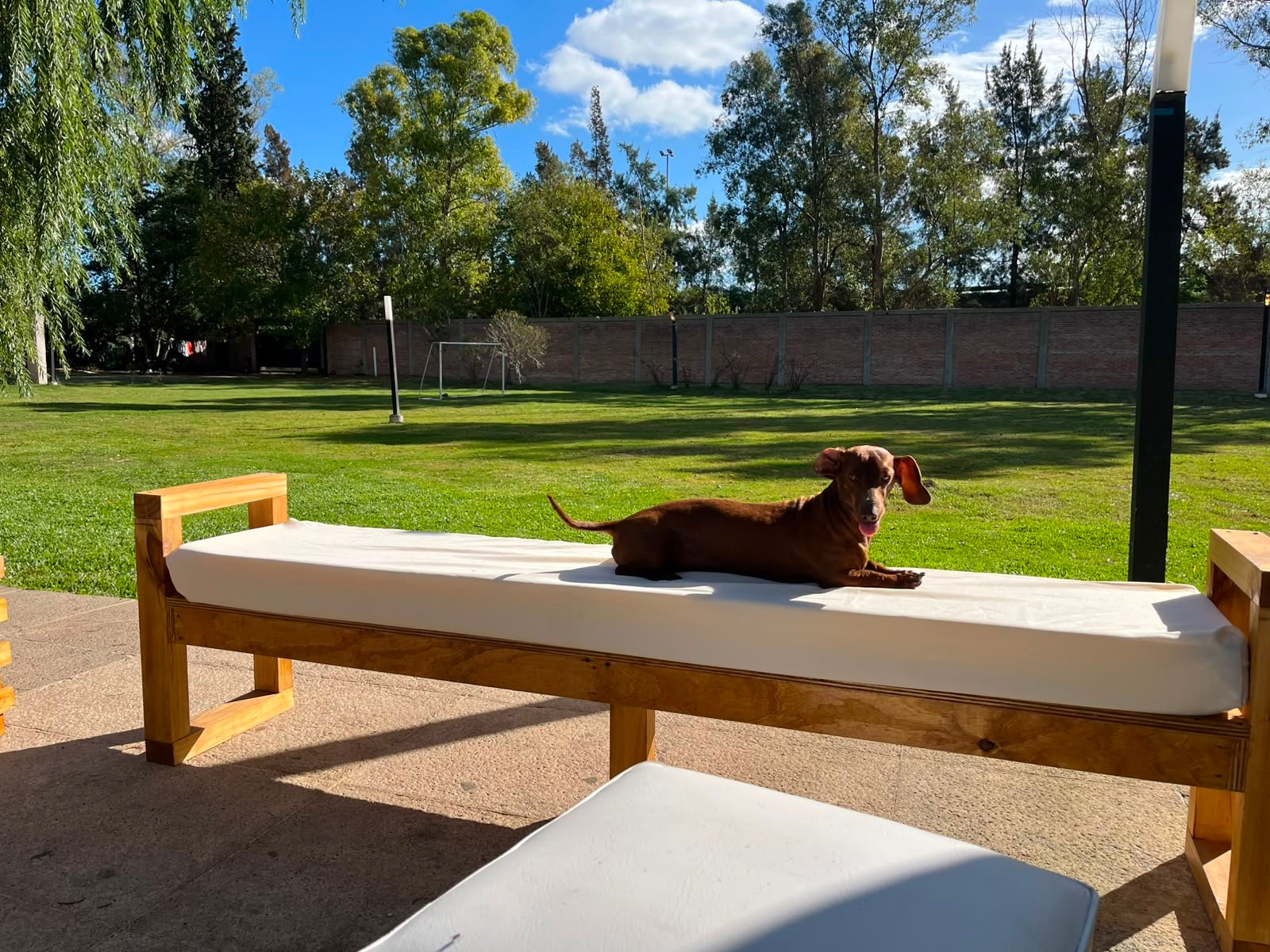Descanso en el parque